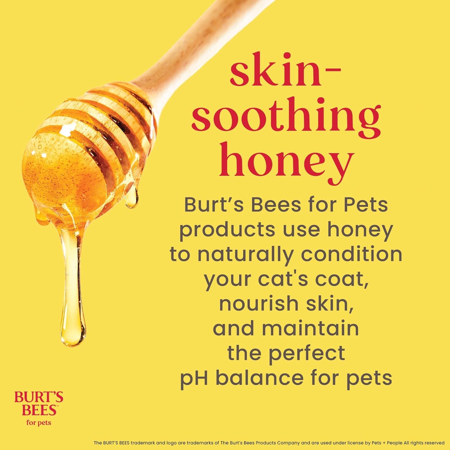 Burts Bees for Pets Tearless Kitten Shampoo with Buttermilk, 10 Fl Oz