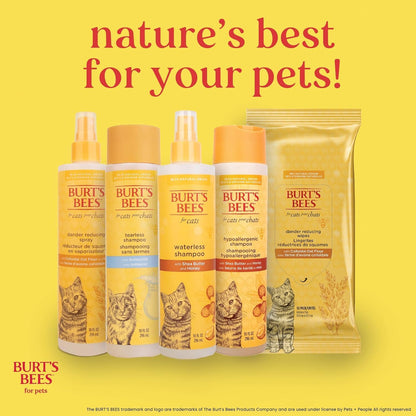 Burts Bees for Pets Tearless Kitten Shampoo with Buttermilk, 10 Fl Oz