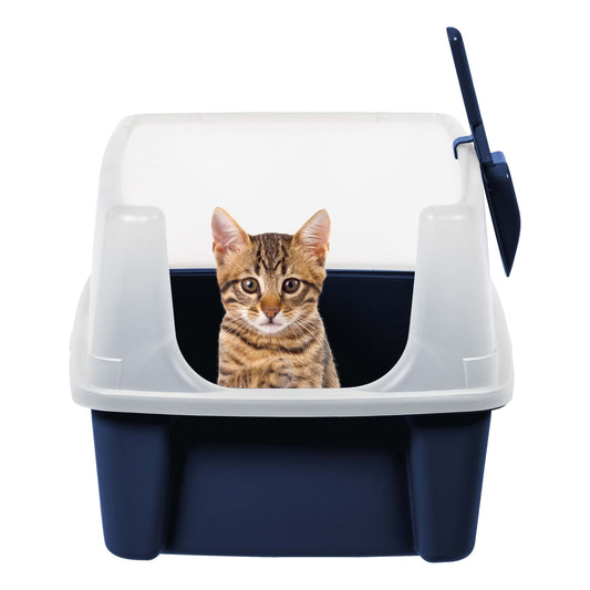 High-Sided Cat Litter Box