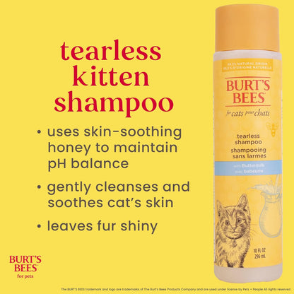 Burts Bees for Pets Tearless Kitten Shampoo with Buttermilk, 10 Fl Oz