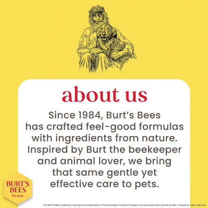 Burts Bees for Pets Tearless Kitten Shampoo with Buttermilk, 10 Fl Oz